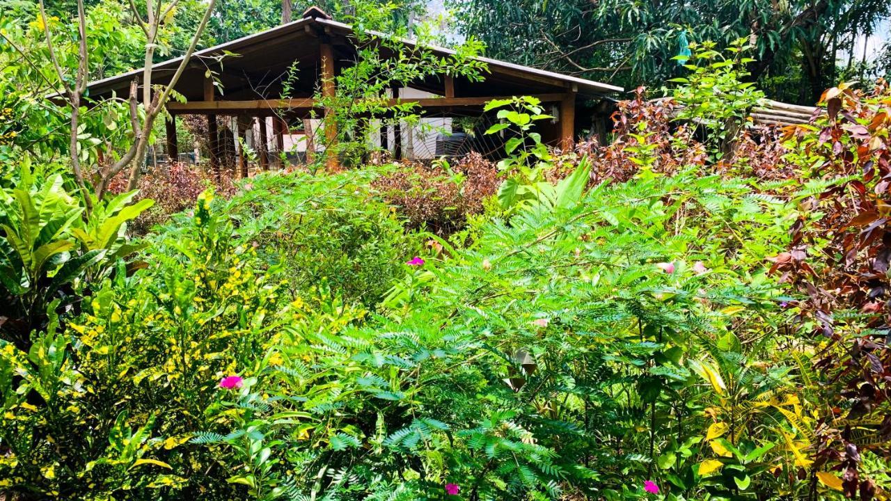 Sigiri Starwing Villa Sigiriya Exterior photo
