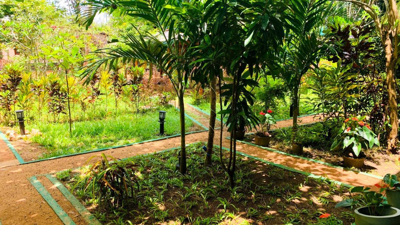 Sigiri Starwing Villa Sigiriya Exterior photo
